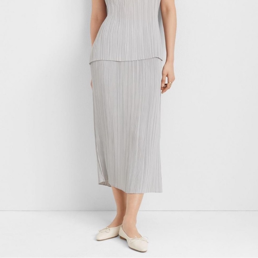 Club Monaco micropleated cloud skirt